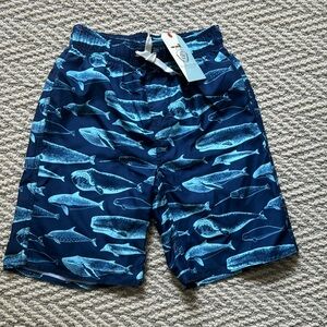 Class club whale swim trucks sz 8 NWT